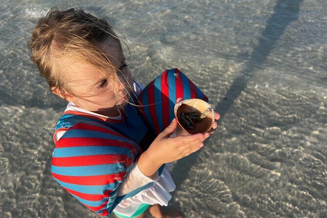 Half Day Eco and Dolphin Boat Tour in Siesta Key - Experience Sarasota’s Marine Wonders: A Detailed Review of the Half Day Eco and Dolphin Boat Tour in Siesta Key