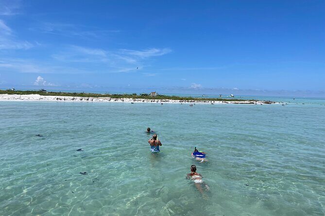 Half Day Eco and Dolphin Boat Tour in Siesta Key - Key Points