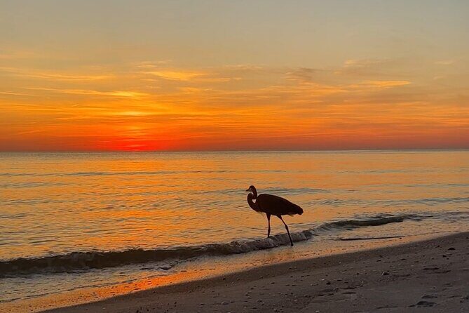 Half Day Eco and Dolphin Boat Tour in Siesta Key - Final Thoughts