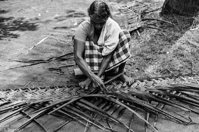 Half-Day Eco Punting and Village Backwater Cruise from Cochin - A Deep Dive into the Experience