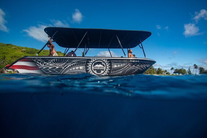 Half day Eco Snorkeling small group Tour in Bora Bora - The Sum Up