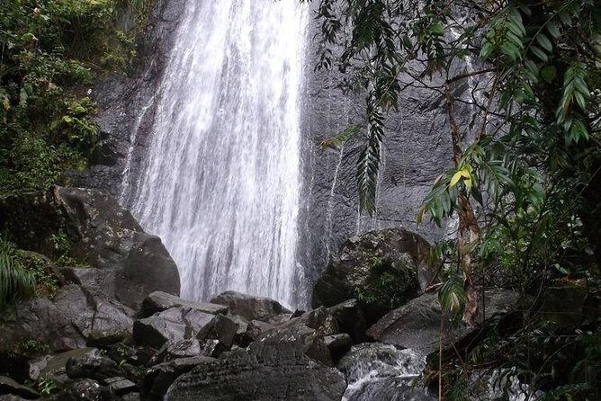 Half-Day El Yunque National Forest Tour from San Juan - The Value Proposition