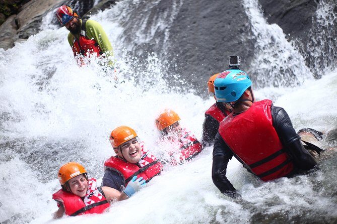 Half-Day El Yunque Rainforest Wilderness Adventure - An In-Depth Look at the El Yunque Wilderness Adventure