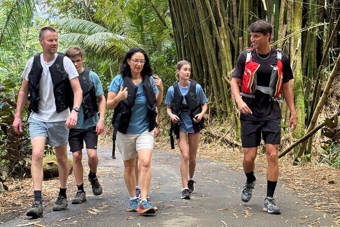 Half Day El Yunque Tour, Waterslide and Rope Swing - Final Thoughts