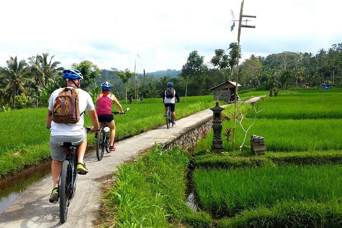 Half-Day Electric Cycling Tour of Ubud - Key Points