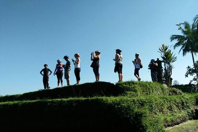 Half-Day Electric Cycling Tour of Ubud - In The Sum Up