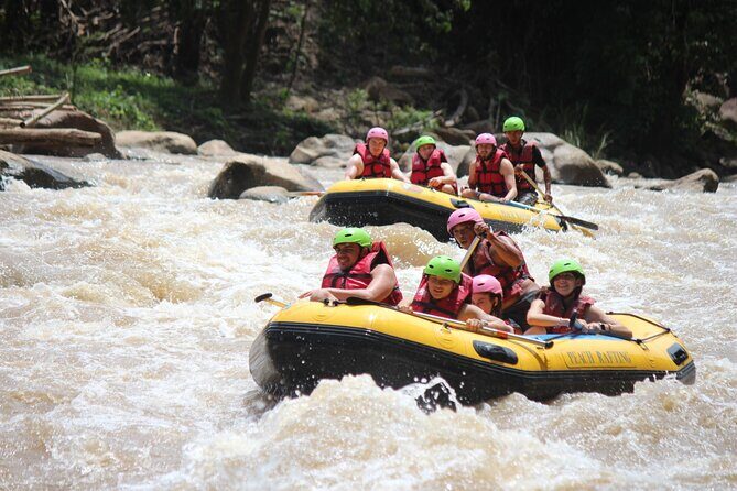Half Day Elephant care and Whitewater Rafting Adventure - Transportation, Group Size, and Overall Value