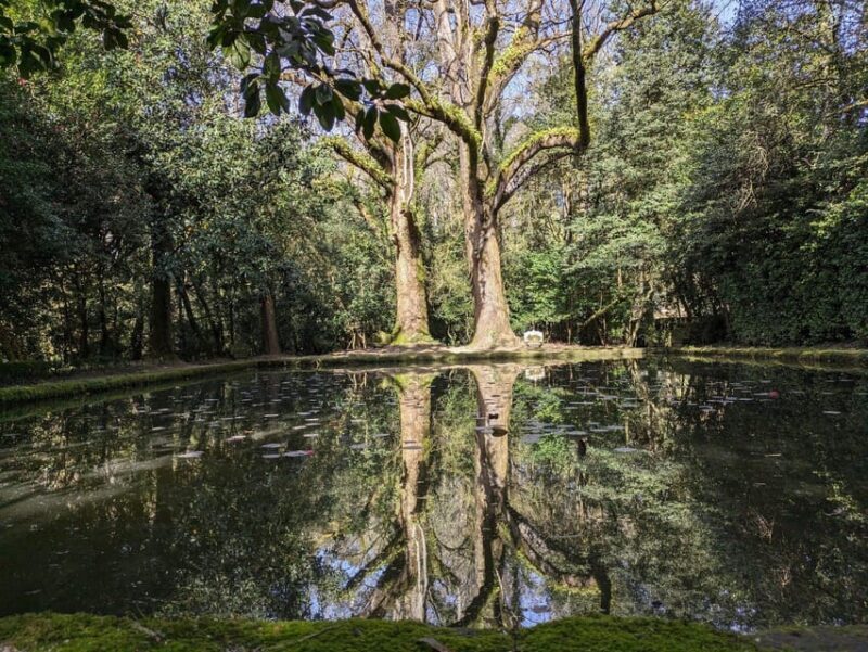 Half-day excursion around Santiago - Exploring Galicia in a Half-Day: What to Expect and Why It Matters