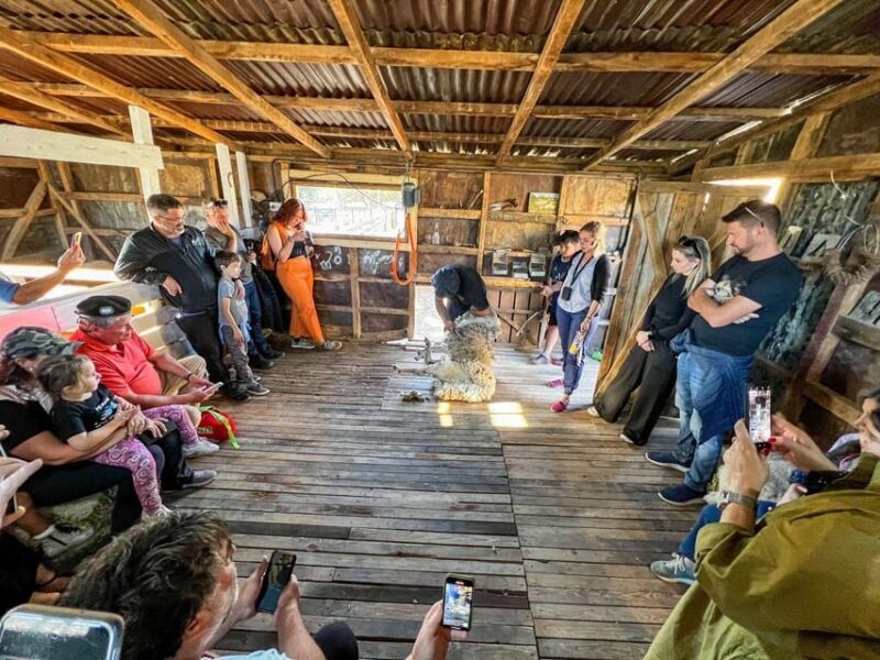 Half-Day Excursion at Estancia 25 de Mayo Field Afternoon - The Value of This Tour