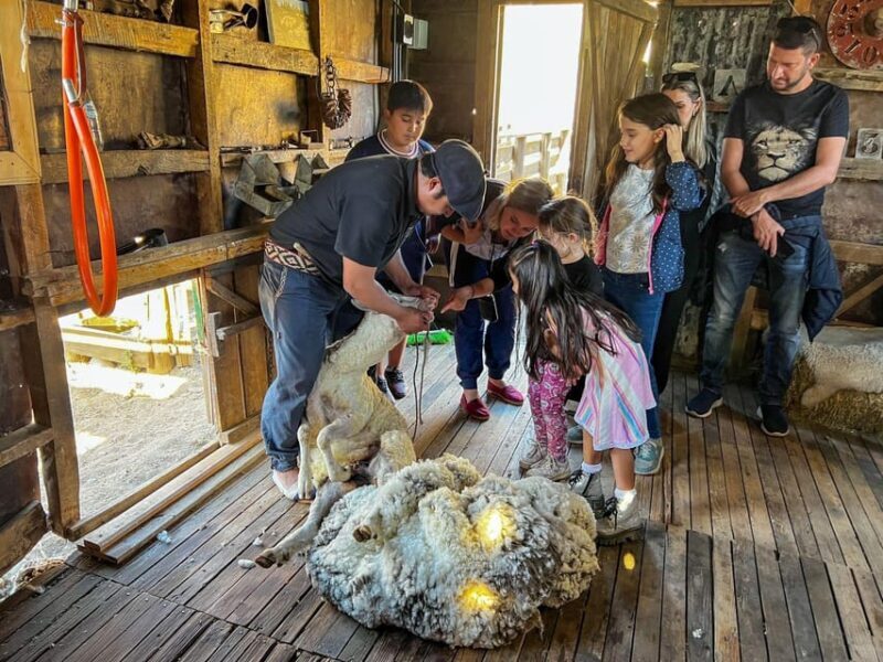 Half-Day Excursion at Estancia 25 de Mayo Field Afternoon - Frequently Asked Questions