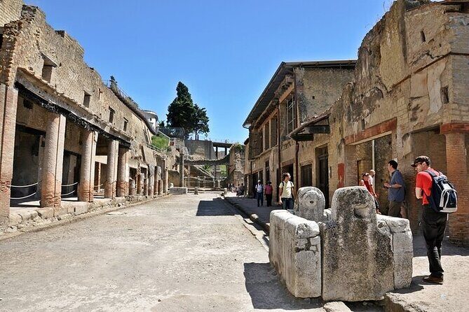 Half Day Excursion to Herculaneum from Naples with Lunch - Who This Tour Is Best For