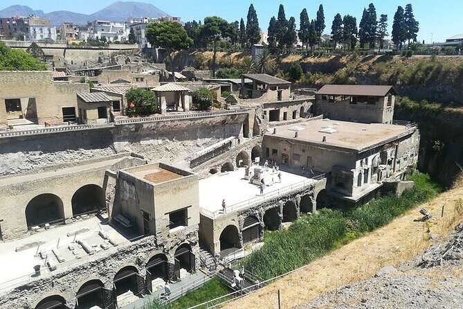 Half Day Excursion to Herculaneum from Naples with Lunch - FAQ