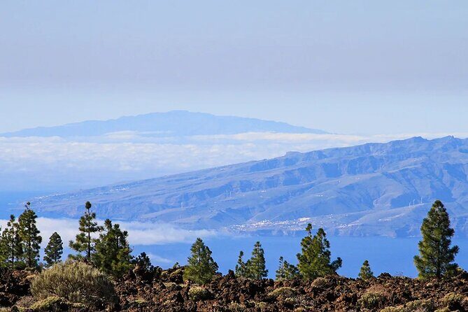 Half-day excursion to Teide National Park - Who Should Consider This Tour?