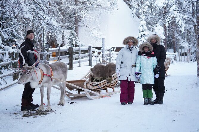 Half-Day Experience in Local reindeer farm in Lapland - The Experience in Detail: What to Expect and Why It Matters
