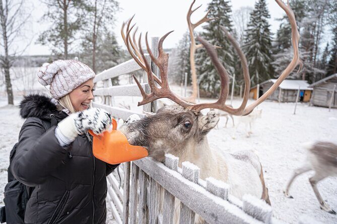 Half-Day Experience in Local reindeer farm in Lapland - Final Thoughts: Is This Tour Right for You?