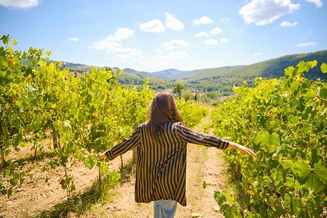 Half-day Experience to San Gimignano Hills with Picnic and Wine - The Sum Up