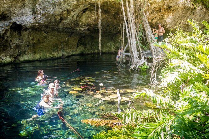 Half-Day Explore Tour of Tulum, Gran Cenote with Local Tacos - FAQ