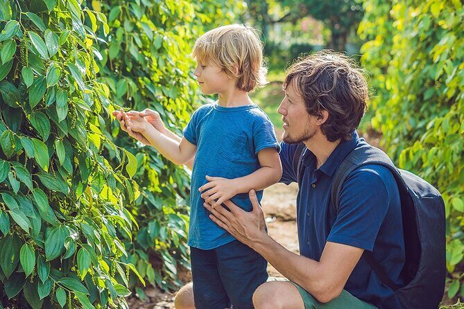 Half-day Exploring Phu Quoc Island by Bicycle - Key Points