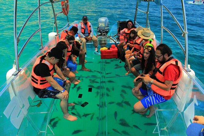 Half-Day Exploring the Arch of Cabo San Lucas Guided Tour - Who Should Consider This Tour?