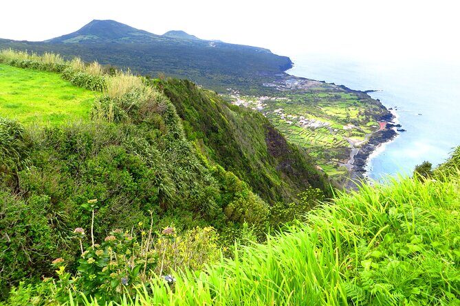 Half-Day Faial Island Tour from Horta - Who Should Take This Tour?