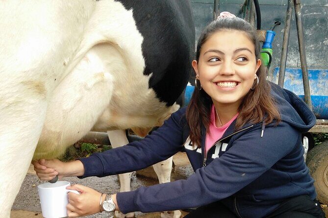 Half-Day Farm Visit and Cow Milking Experience - Final Thoughts: Is This Tour for You?