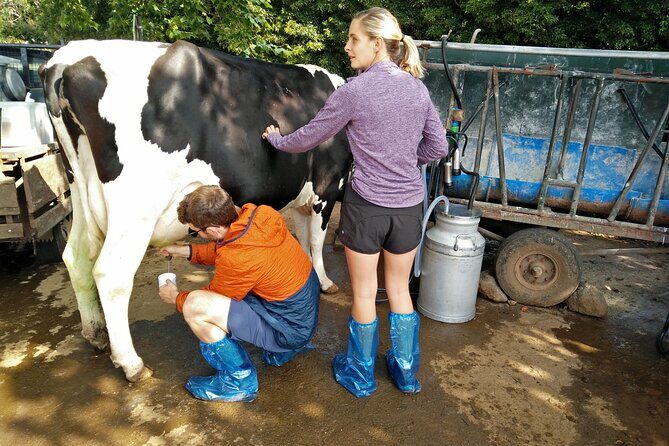Half-Day Farm Visit and Cow Milking Experience - FAQs