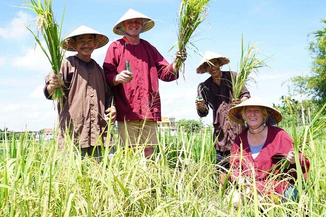 Half-day Farming life with wet rice from Hoi An - Key Points