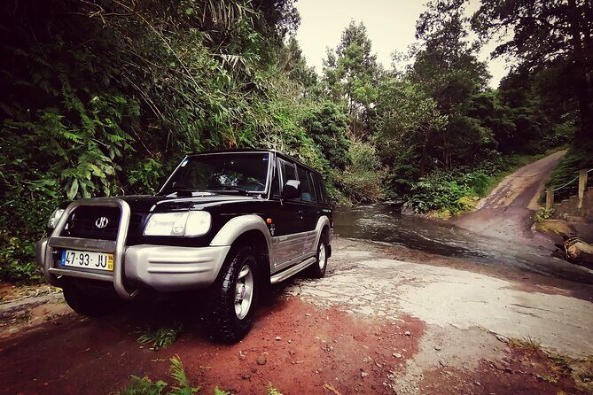 Half Day Fire Lake and Pineapple Farm Tour in Sao Miguel with Tea - Key Points