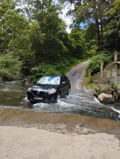 Half Day Fire Lake, Pineapple & Tea by SUV - A Detailed Look at the São Miguel SUV Tour