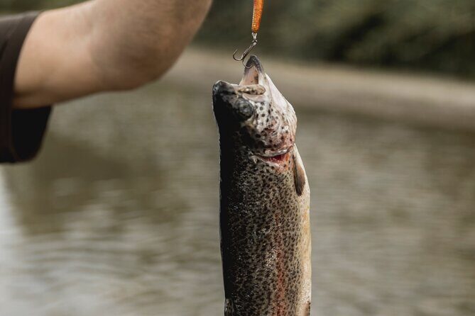 Half Day Fishing Adventure - Key Points