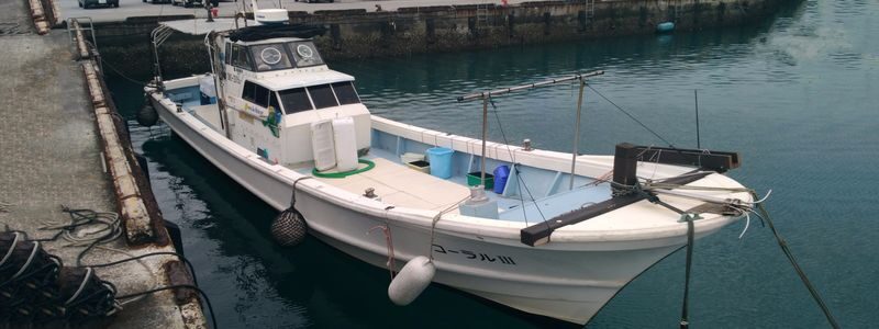 Half-Day Fishing Experience in Naha with Pick up & Drop off Service - From Naha Port to Open Water