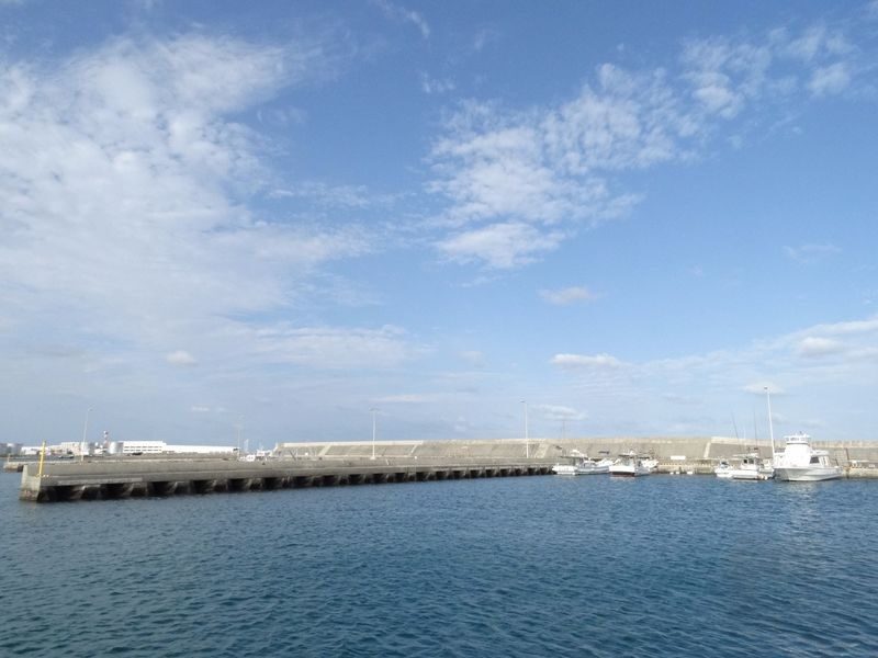 Half-Day Fishing Experience in Naha with Pick up & Drop off Service - Learning the Fishing Method