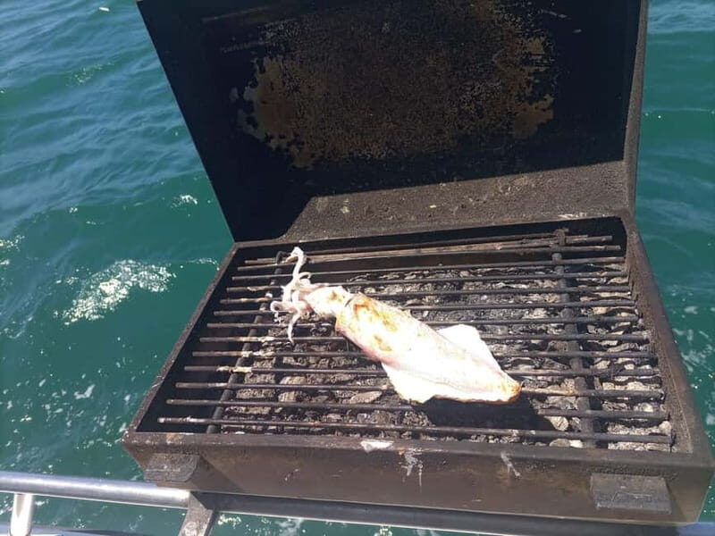 Half Day Fishing Trip - An In-Depth Look at the Fishing Adventure