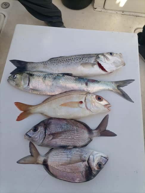 Half Day Fishing Trip - Practical Tips for Your Trip
