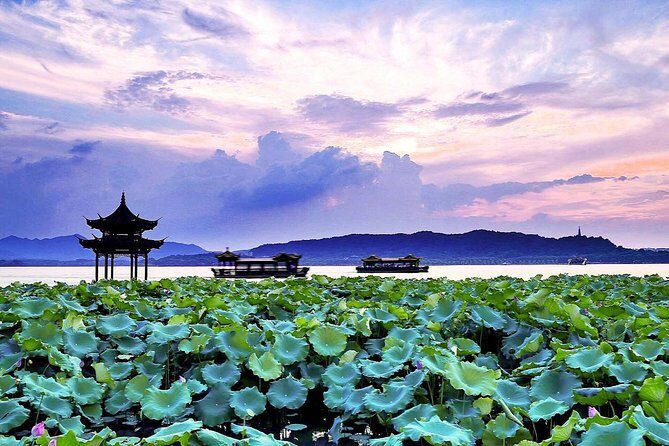 Half-Day Flexible Private Hangzhou Highlight Tour - Exploring Hangzhou in Comfort and Style