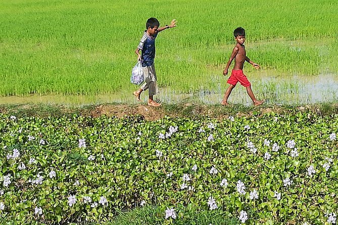 Half Day Floating Village ( Mechrey) & Tole Sap Tour - Analyzing the Value