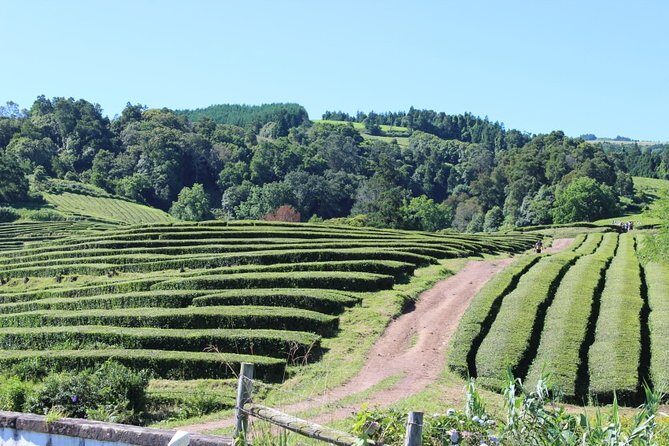 Half Day Furnas And Hot Springs - Final thoughts