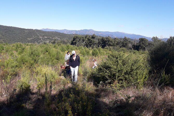 Half Day Gastronomic Wild Walk in Girona - Final Thoughts