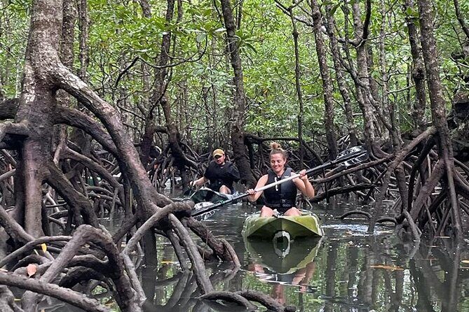 Half-Day Geopark Mangrove Kayaking Adventure - Experience the Magic of Langkawi’s Mangroves with a Half-Day Kayaking Tour