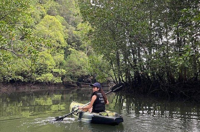 Half-Day Geopark Mangrove Kayaking Adventure - Why This Tour Offers Great Value