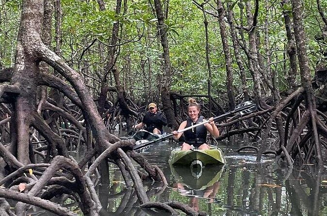 Half-Day Geopark Mangrove Kayaking Adventure - FAQ