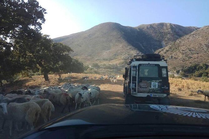 Half-Day Georgioupolis Off-Road Adventure with Meal - The Sum Up: Who Is This Tour Perfect For?