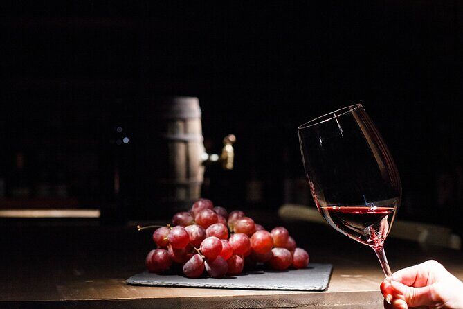 Half-Day Gramma Wine Tasting Tour in Iasi - Who Should Consider This Tour?
