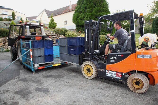 Half Day Grape Harvest Experience with Tasting in Epernay - What Makes This Tour Stand Out?