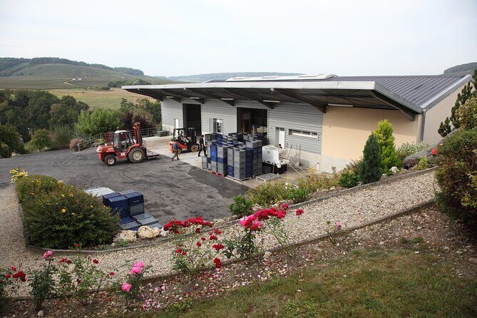 Half Day Grape Harvest Experience with Tasting in Epernay - Analyzing the Value: Is It Worth the Price?