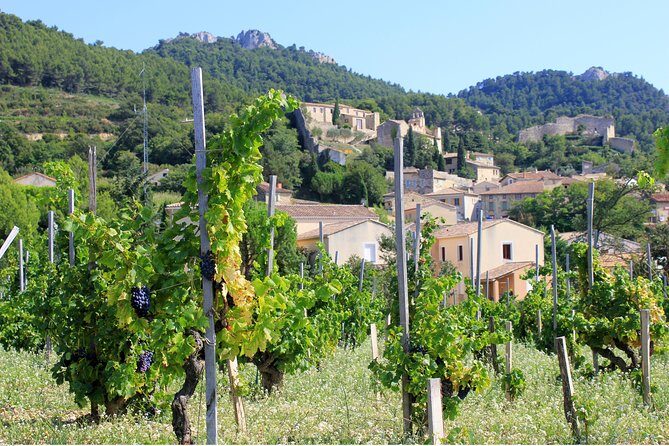 Half Day Great Vineyard Tour from Avignon - The Sum Up: Is This Tour Worth Your Time?