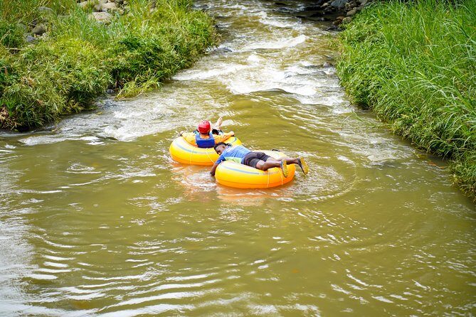 Half-Day Grenada River Tubing -Grand Etang & Annandale Falls - Who Should Consider This Tour?