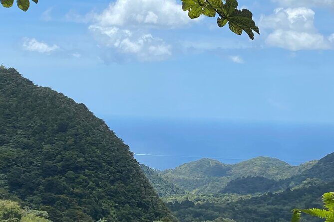 Half Day Grenada Seven Sisters, Grand Etang Nature Center Hiking Tour - An Authentic Half-Day Adventure in Grenada: The Seven Sisters and Grand Etang Nature Center Tour