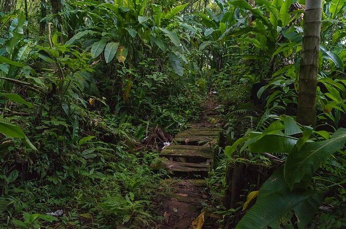 Half Day Grenada Sunshine Highlights Tour - The Value of This Tour