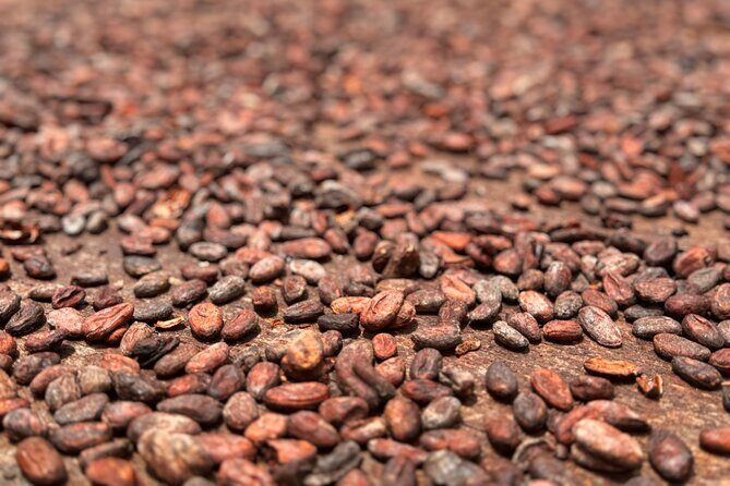 Half-Day Grenada Tour With Easy - FAQ